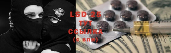 мяу мяу мука Аркадак