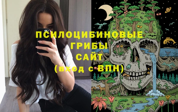 мет Арсеньев