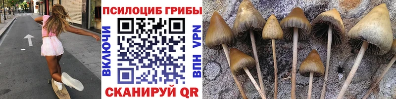 Галлюциногенные грибы мухоморы Обоянь